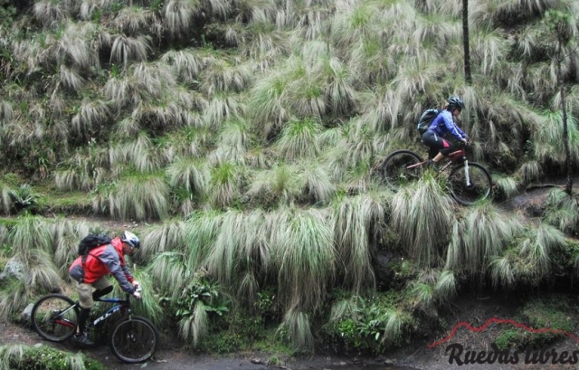 rodando en naturaleza
